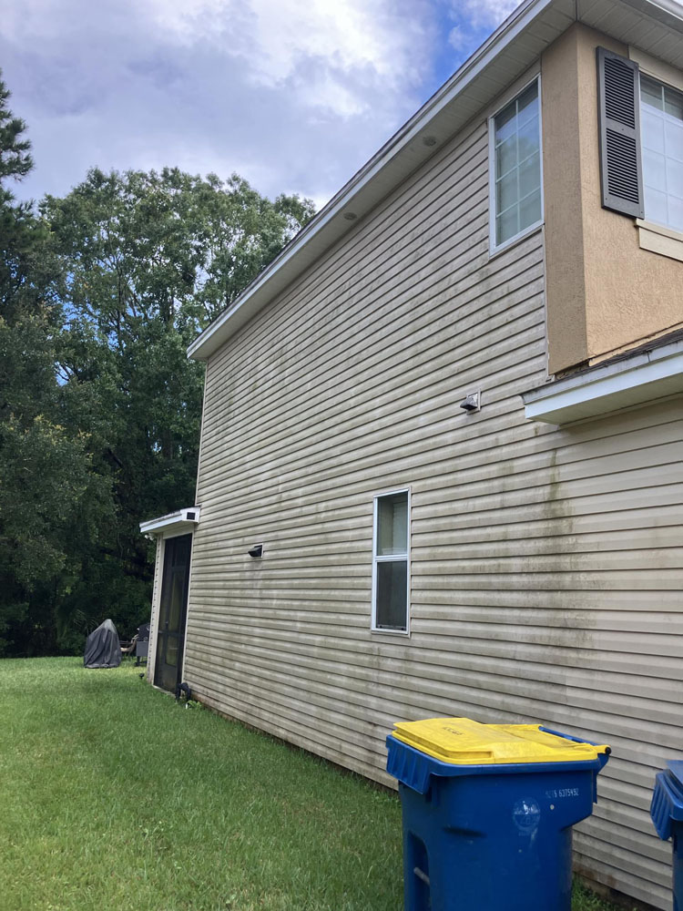 Exterior cleaning project photo 3